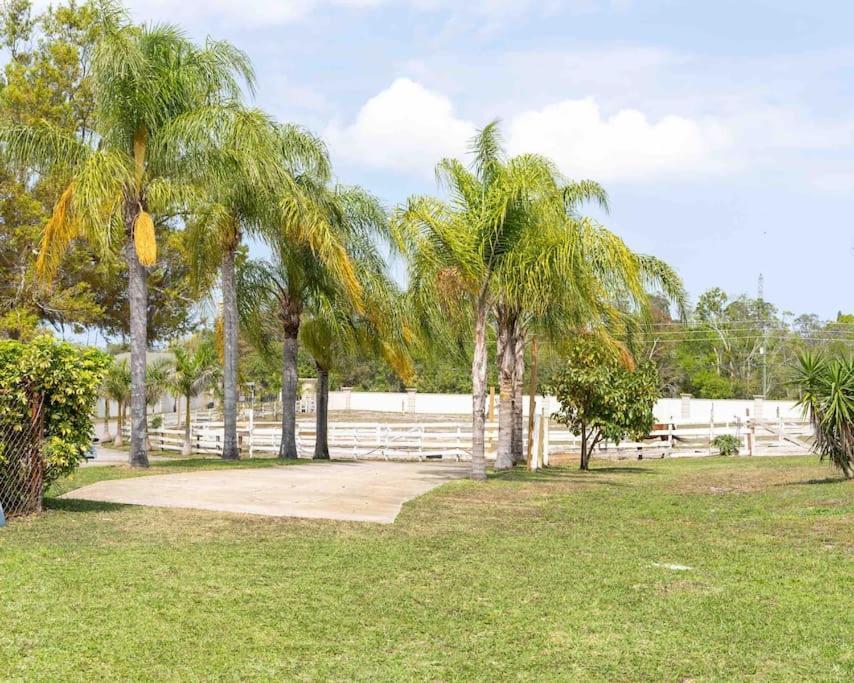 شقة Tampa Bay Oasis تاربون سبرينغز المظهر الخارجي الصورة