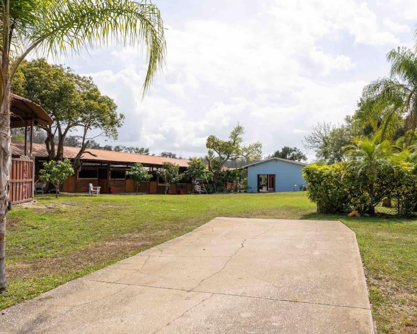 شقة Tampa Bay Oasis تاربون سبرينغز المظهر الخارجي الصورة